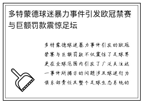 多特蒙德球迷暴力事件引发欧冠禁赛与巨额罚款震惊足坛
